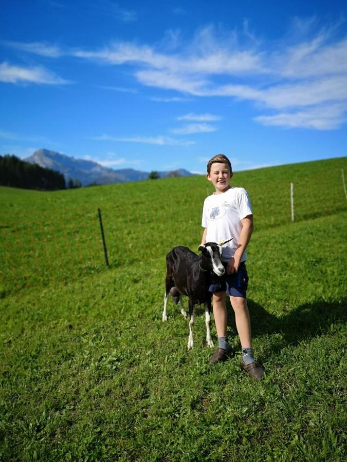 Apartmán Hochmuthhof Reith im Alpbachtal Exteriér fotografie